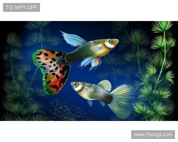 缁胯崼鍦轰笂鐨勪紶鎵匡細鐖跺瓙瓒崇悆姊︾殑鍙屽悜濂旇荡